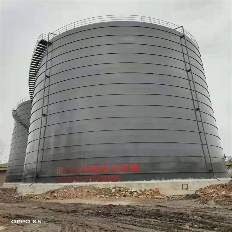 雨城3万吨大型钢板库