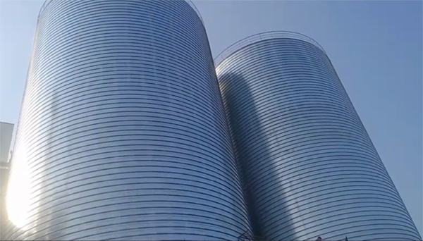 雨城2座混凝土高架卷板仓